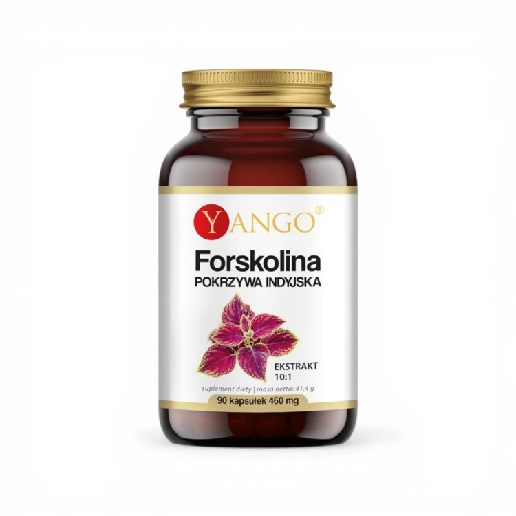 Forskolina – pokrzywa indyjska wspierająca kontrolę masy ciała _ 90 kapsułek-Yango.png