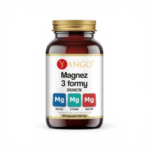 Magnez 3 formy - 90 kaps.