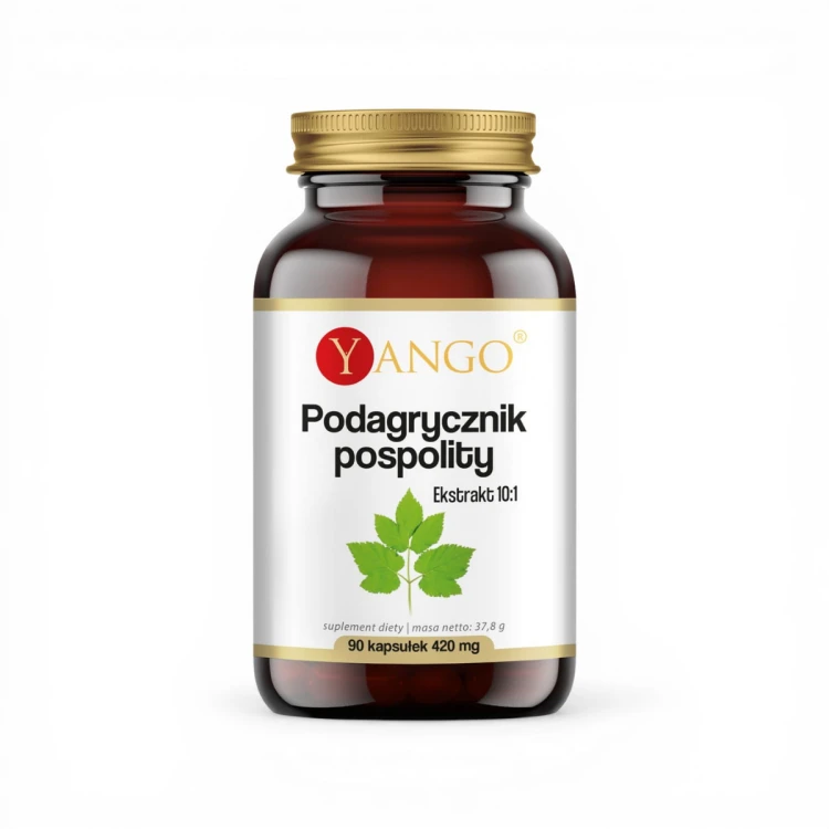 Podagrycznik – wsparcie metabolizmu _ 90 kapsułek.png