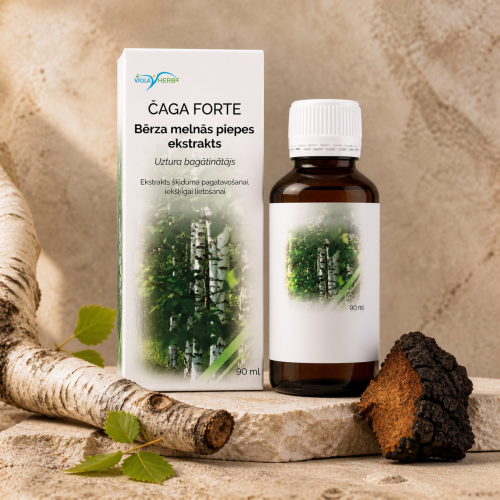Befungin Forte koncentrat Syberyjska Czaga Brzozowa Huba 90 ml