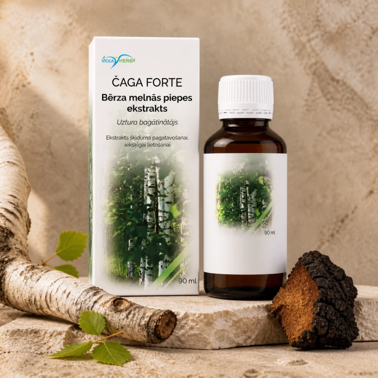 Befungin Forte koncentrat Syberyjska Czaga Brzozowa Huba 90 ml