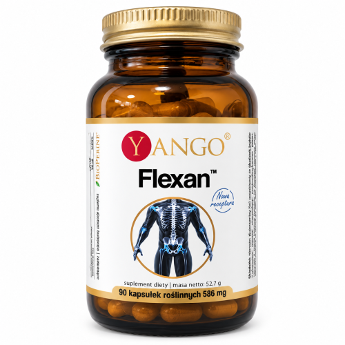 Flexan Yango.png